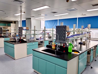 Hvordan man forebygger gastrointestinal ødem sygdom af gris?